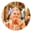 Sampoorna S.